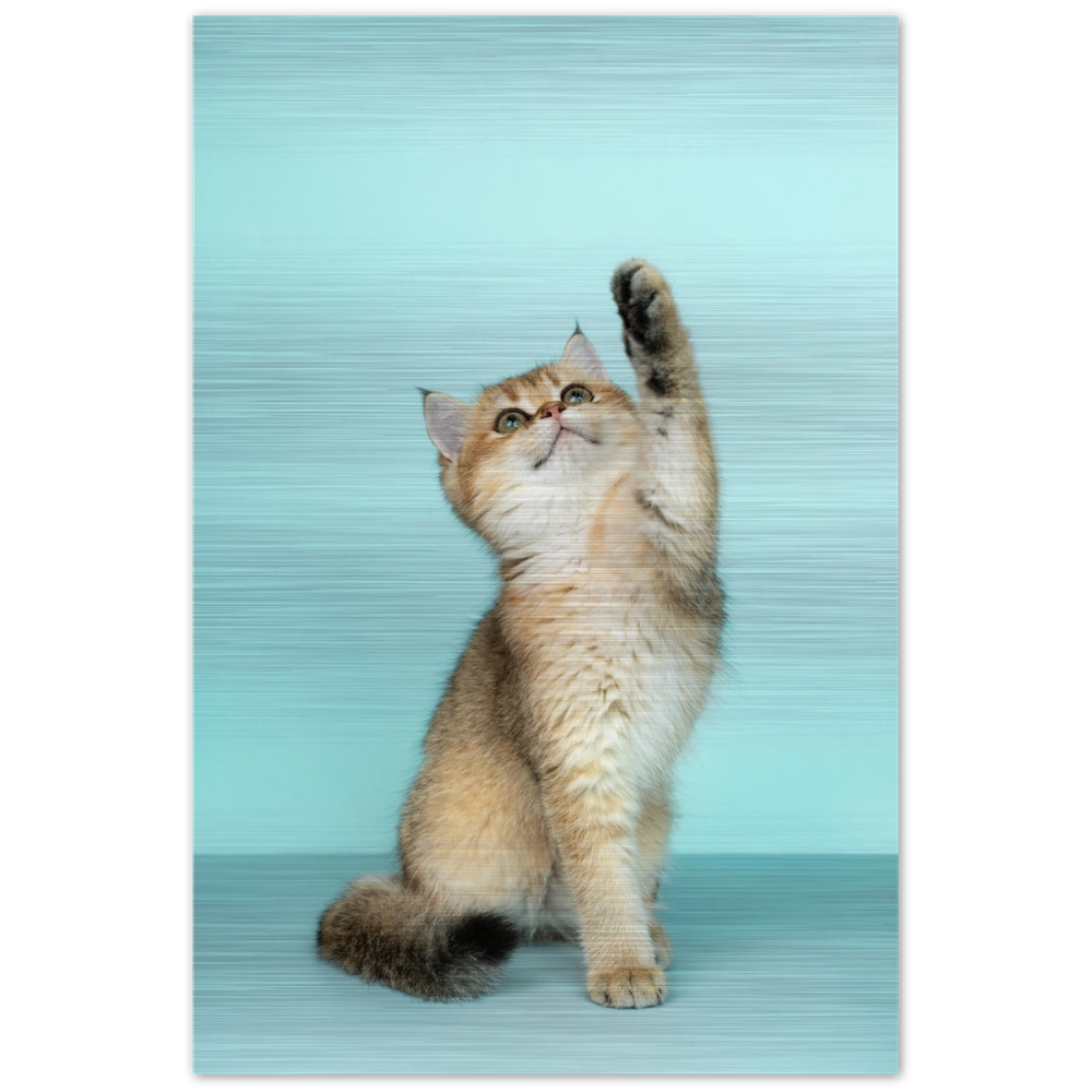 Blue Kitten Paw High Quality Aluminum 24" x 36" Wall Art